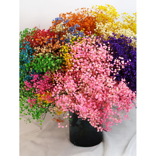 Jatu Dace Festival Dried Flowers Everlasting Gypsophila Real Flowers Home Wedding Decoration Flower Arrangement Window Soft Decoration Landscaping Dream Star Yunnan Straight Everlasting Gypsophila Light Pink About 120g