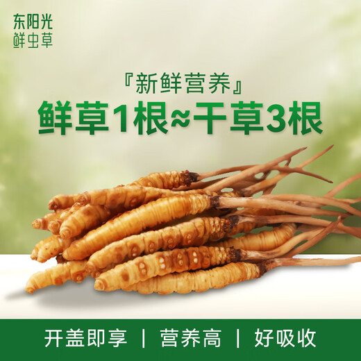 Dongyangguang Fresh Cordyceps Sugar Sugar Sugar Sugar Sugar Sugar Sugar High-end Nutritional Sugar Sugar Sugar Sugar Sugar Sugar Sugar Sugar Sugar Sugar Sugar Sugar Sugar Sugar Sugar Sugar Sugar Sugar Sugar Sugar Sugar Sugar Sugar Sugar Sugar Sugar Sugar Sugar Sugar Sugar Sugar Sugar Sugar Sugar Sugar Sugar Sugar Sugar Sugar Sugar Sugar Sugar Sugar Sugar Sugar Sugar Sugar Sugar Sugar Sugar Sugar Sugar Sugar Sugar Sugar Sugar Sugar Sugar Sugar Sugar Sugar Sugar Sugar Sugar Sugar Sugar Sugar Sugar Sugar Sugar Sugar Sugar Sugar Sugar Sugar Sugar Sugar Sugar Sugar Sugar Sugar Sugar Sugar Sugar Sugar Sugar Sugar Sugar Sugar Sugar Sugar Sugar Sugar Sugar Sugar Sugar Sugar Sugar Sugar Sugar Sugar Sugar Sugar Sugar Sugar Sugar Sugar Sugar Sugar Sugar Sugar Sugar Sugar Sugar Sugar Sugar Sugar Sugar Sugar Sugar Sugar Sugar Sugar Sugar Sugar Sugar Sugar Sugar Sugar Sugar Sugar Sugar Sugar Sugar Sugar Sugar Sugar Sugar Sugar Sugar Sugar Sugar Sugar Sugar Sugar Sugar Sugar Sugar Sugar Sugar Sugar Sugar Sugar Sugar Sugar Sugar Sugar Sugar Sugar Sugar Sugar Sugar Sugar Sugar Sugar Sugar Sugar Sugar Sugar Sugar Sugar Sugar Sugar Sugar Sugar Sugar Sugar Sugar Sugar Sugar Sugar Sugar Sugar Sugar Sugar Sugar Sugar Sugar Sugar Sugar Sugar Sugar Sugar Sugar Sugar Sugar Sugar Sugar Sugar Sugar Sugar Sugar Sugar Sugar Sugar Sugar Sugar Sugar Sugar Sugar Sugar Sugar Sugar Sugar Sugar Sugar Sugar Sugar Sugar Sugar Sugar Sugar Sugar Sugar Sugar Sugar Sugar Sugar Sugar Sugar Sugar Sugar Sugar Sugar Sugar Sugar Sugar Sugar Sugar Sugar