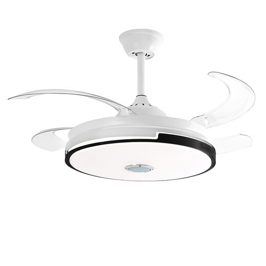 XMSJ invisible fan lights modern simple dining room ceiling fan lights living room bedroom home fan chandelier wholesale T09 black-42 inch frequency conversion remote control