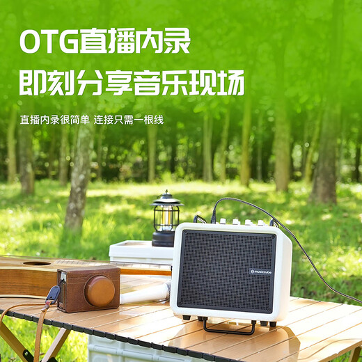 Music Knight H6 musical instrument guitar audio playing and singing electric blowpipe saxophone Bluetooth live broadcast karaoke speaker white + saxophone microphone