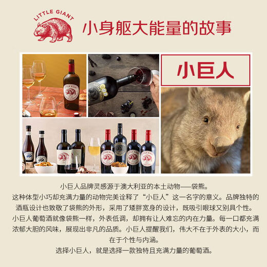 LITTLE GIANT小巨人系列单一园赤霞珠干红葡萄酒750ml澳洲进口 BIN407平替
