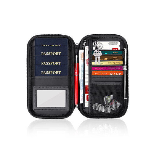 Passport-ID-Beutel feuerfeste Brieftasche Anti-Diebstahl-Bürsten tragbarer Kreditkartenbeutel Air Ticket Clip Travel Storage Beutel