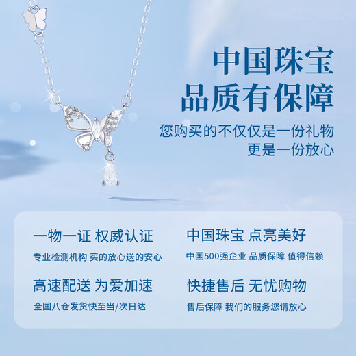 Chinese Jewelry Pure Silver Sparkling Dream Butterfly Necklace for Women 2025 New Light Luxury High-Quality Pendant Practical Birthday Gift for Girlfriend