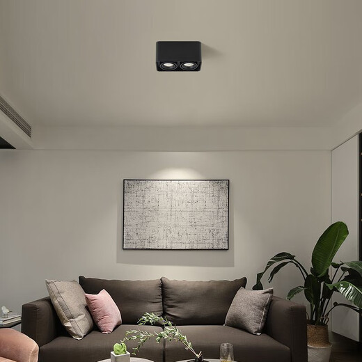 XMSJ明装筒灯米家智能高显指防眩光无主灯客厅照明吸顶灯广东灯具 9853米家-双头白色普瑞20W无极