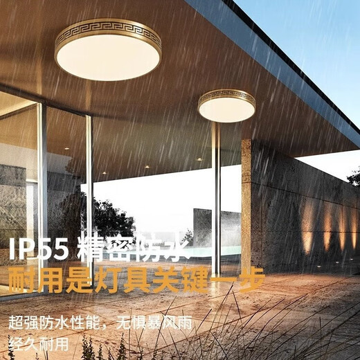 禾灵室外吸顶灯防虫防水进门灯中式别墅全铜超薄入户灯花园露台阳台灯 X3891/方形30CM/三色可调
