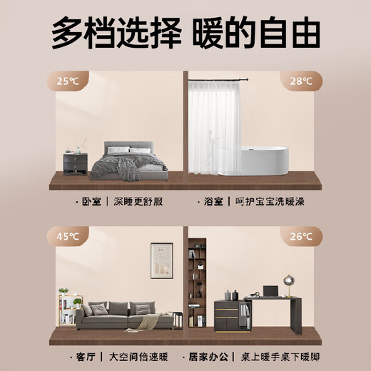 Philips (PHILIPS) heater home heater electric heater office bathroom bedroom multi-speed fast heating energy-saving desktop desktop portable oven hot air heater AHR2242FA