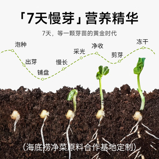 Banta Gold Medal Banta Alfalfa Dental Seedlings Purple Carrot Sprouts Dog Snacks Freeze-Dried Natural Herbal Food Supplement 7 Days Slow Bud Alfalfa Dental Sprouts Freeze-dried 6g 1 Can