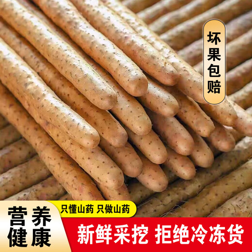 Authentic iron-bar yam, Huaishan yam, iron-bar yam, Jiaozuo Wenxian pink glutinous sweet fresh yam, iron-bar yam 2Jin Jin equal to 0.5kg, with box 10cm-20cm