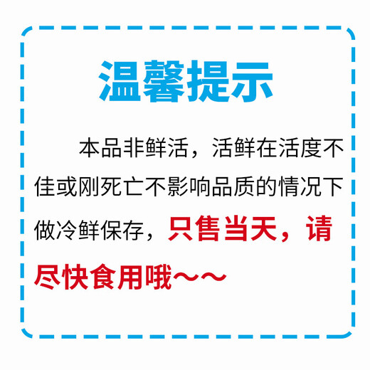 Xianjingcai chilled white shrimp 300g (about 12-18 pieces)