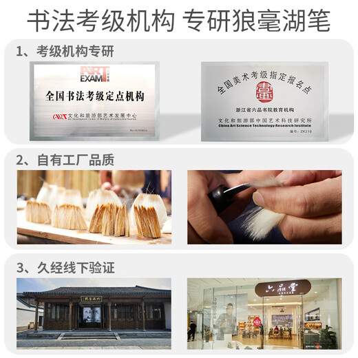 Liupintang brush brush with both hair and hair, professional-grade large, medium and small regular script for adults, Chinese painting, calligraphy and calligraphy practice, entry-level set of soft pens, Feihua Yaling 3 pieces