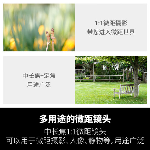 Tamron F072Z 90mm F2.8 Di III MACRO VXD Fixed Focus Macro Lens Portrait Insects Flowers Oral Oral Full Frame Micro Single Lens (Nikon Z Mount)