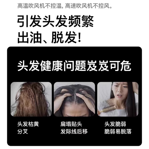 Chizu Huaqiangbei 2024 Top Equipped with 3.5 Billion Negative Ions for Hair Care Leafless Hair Dryer Home Silent Negative Ions High Power No Hair Damage High Speed High Wind Hair Dryer Officially Equipped New Starlight Silver 3 Billion Negative Ions Hair Care 10s Quick Dry Top Ten Hair Dryers Dynamic Hot and Cold Wind Repair Damaged Hair 1.8 Meter Cord