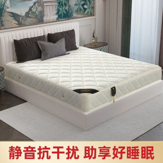 璟赐席梦思床垫弹簧椰棕垫子20cm厚家用1.5x2宿舍1.2米乳胶软垫床垫子 精钢弹簧舒适款20cm 1350mm*1900mm