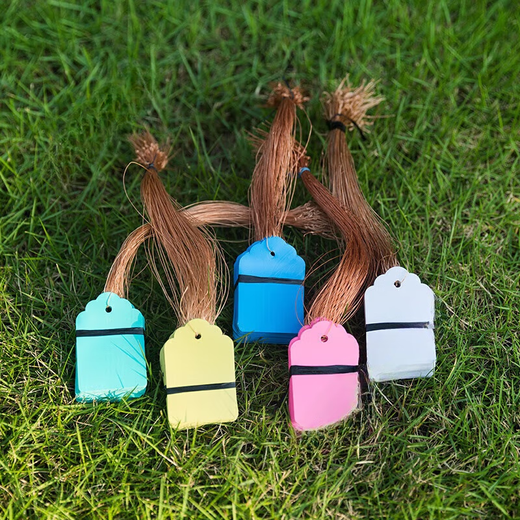 Arbor Day tag, plant tag, hanging tag, sapling, tree adoption tag, children's name information, plastic waterproof tag, 3*4.5cm blue, 100 pieces