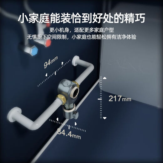 安吉尔前置过滤器家用反冲洗全铜自来水全屋大流量中央净水机3524 第三代升级款前置【送龙头滤芯1支】