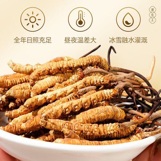 雷允上野生冬虫夏草2.2根/g 30g约66根那曲虫草高端礼盒送领导