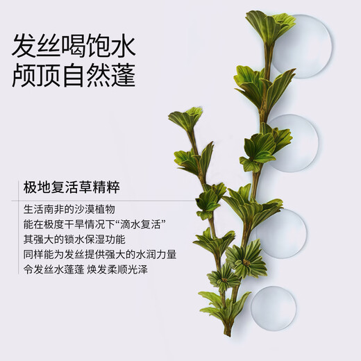 roye若也【热巴同款】复活草发膜柔顺蓬松发丝改善毛躁滋润 236g