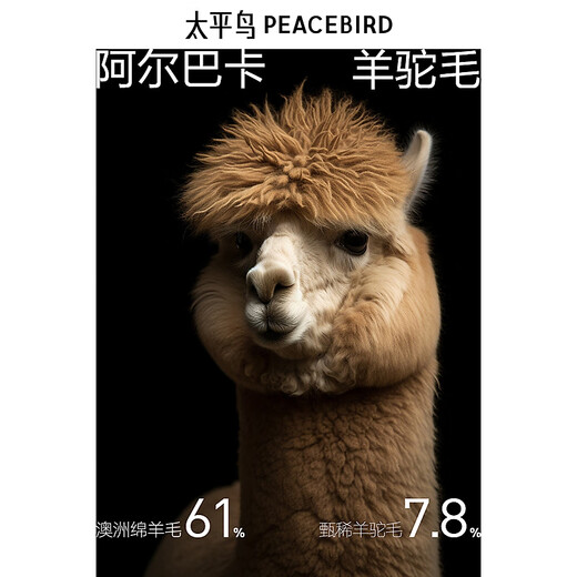 太平鸟男装【含羊驼毛】立领毛呢大衣男冬羊毛呢子外套 深灰色 第一批 2XL