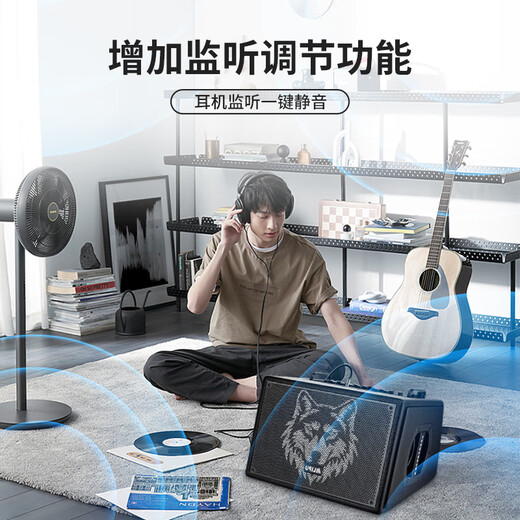 Ellip SE300 audio outdoor karaoke live broadcast internal recording electric blowpipe saxophone guitar singing audio mobile portable high-power Bluetooth stage performance speaker official flagship SE300 forest green + CQA3318 microphone