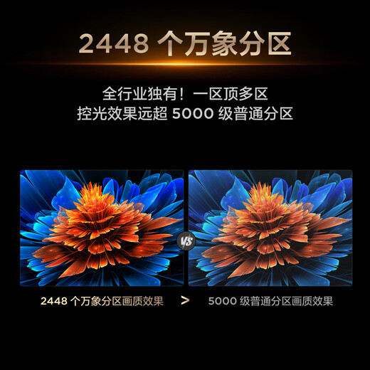 TCL TV 85Q9L Pro 85-inch QD-Mini LED Butterfly Star Screen Vientiane Partition Colorful XDR Ultra-Thin National Subsidy