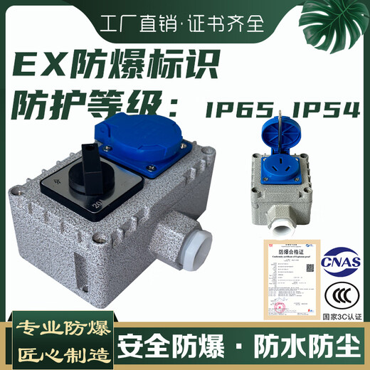 Explosion-proof switch, explosion-proof socket, explosion-proof button, explosion-proof five-hole socket 86 switch panel switch plug row, explosion-proof Ling, single 5-hole/10A (new style)
