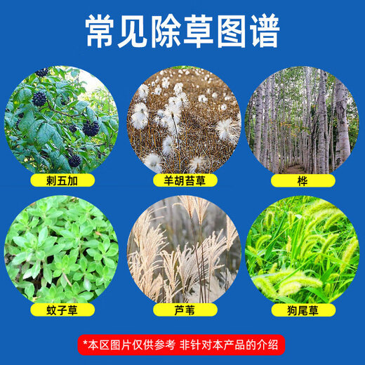 Huaxing Instant 25% cyclozinone aqueous agent kills shrubs, kills vines, kills large trees, kills root rot, pesticides and herbicides