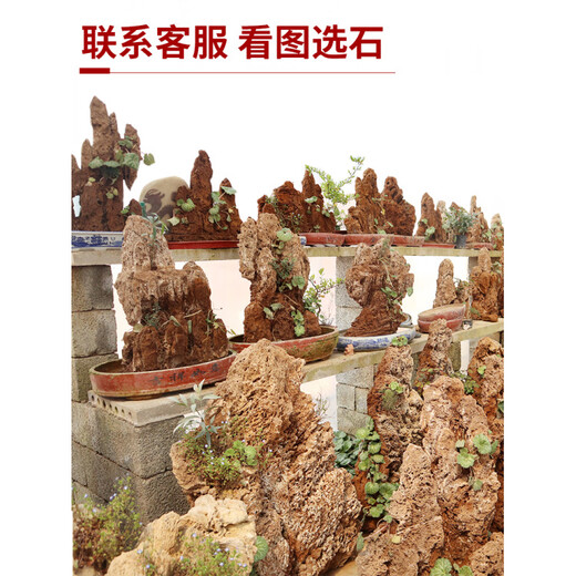 Absorbent stone rockery bonsai upper water stone original stone rockery stone bonsai natural original stone landscaping small ornaments ornamental stone 20-24cm absorbent stone does not contain pots and comes with grass seeds and stones