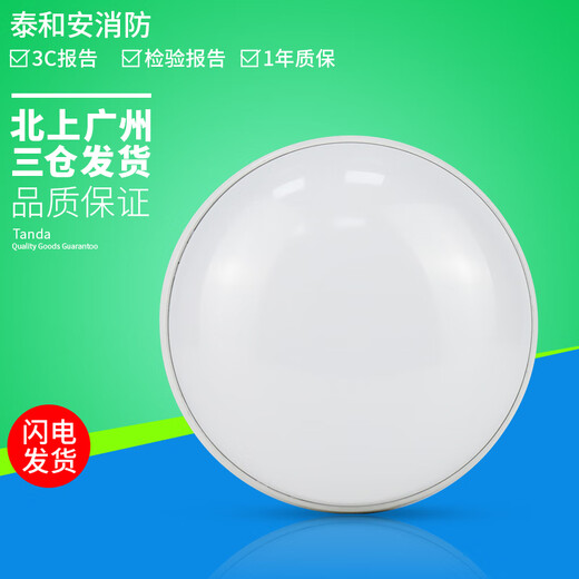 Taihe ein zentraler Stromkontrolle Brand Notfallbeleuchtung Deckenböschetyp Evakuierungsbeleuchtung Zeiger TS-ZFJC-E12W-6628A Deckentyp