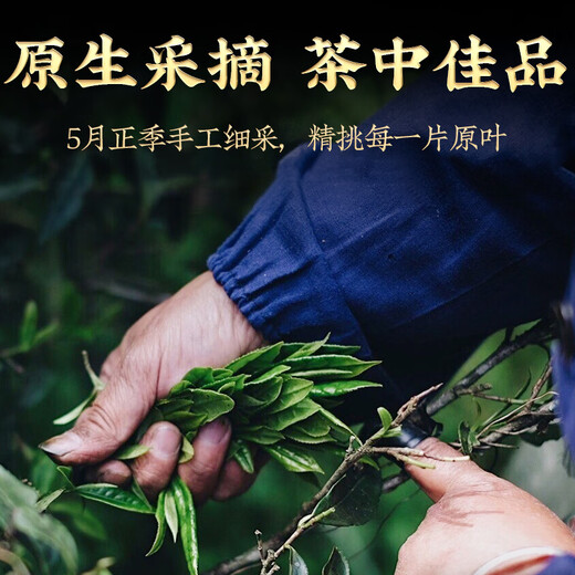 Zhenchashi Oolong Tea Wuyi Rock Tea Dahongpao Special 250g Boîte à feu moyen-feu Wuyishan Cinnamon Tea Brink