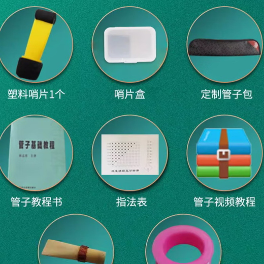 宏艺凤鸣（HongYiFengMing）专业乌木管子乐器催泪管乐器初学者成人专业演奏网红 初学推荐】黄铜箍专业大G+七赠品