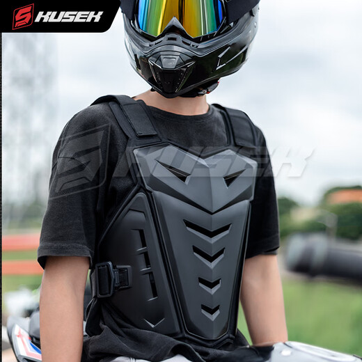 Zailu Motorcycle Off-road Armor, Chest Protector, Vest, Anti-fall Protective Gear, Mountain Bike Cycling Suit, Motorcycle Full Set, Black Armor, Anti-fall/Chest Protector/Back Protector, One Size