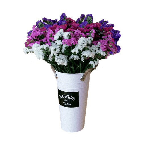 LDVEP Yunnan Forget-Me-Nots Dried Flower Bouquet of Gypsophila Real Flowers Purple Forget-Me-Nots 2Jin Jin equals 0.5kg