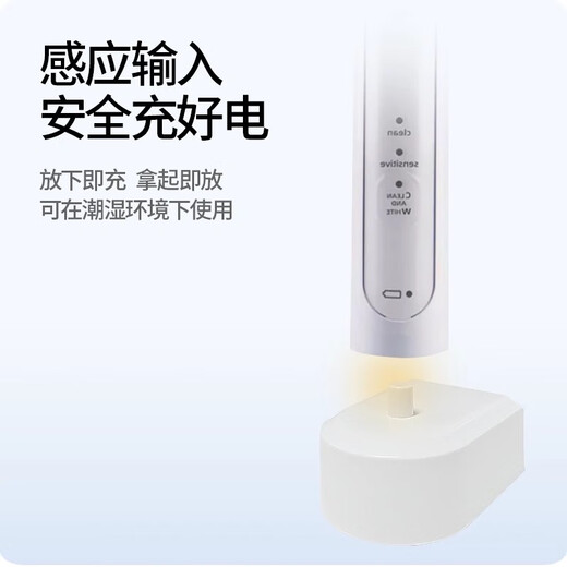 Sakura también es adecuada para el cargador de cepillo de dientes eléctrico Philips HX6610/HX6620/HX6630/HX6640/HX6650/HX6660/HX6616/HX6631/HX6622 CARGADOR UNIVERSAL