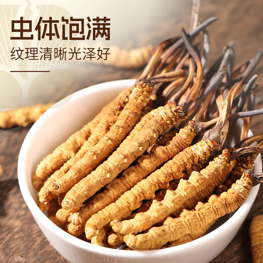 Yuanjiang трава cordyceps sinensis 3 корни/г около 3,3 грамм 10 корней высокогорного подарка Cordyceps подарок на кот отца подарок