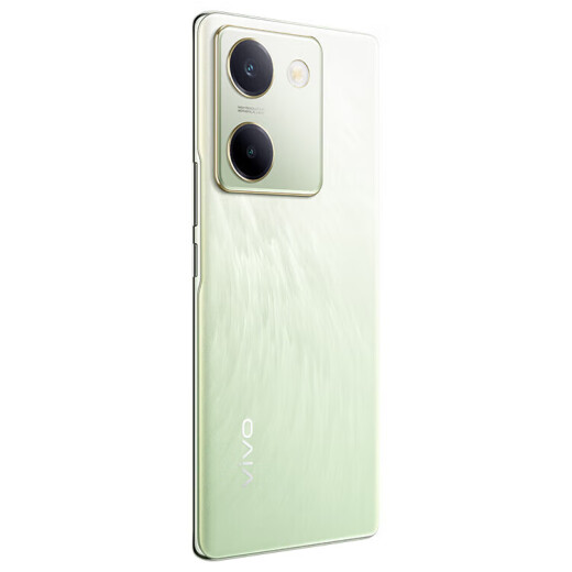 vivo Y100 超薄5000mAh电池 6400万OIS光学防抖 44W超快闪充 5G智能拍照手机 琉云青丨Y100（骁龙695） 12GB+256GB