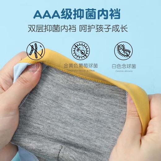 Candynut children's underwear, boys' boxer briefs, type A, pure cotton, antibacterial, comfortable, breathable, baby, medium and large children's boxer shorts, Dinosaur Wings, add 2 pairs, total 6 pairs, 120 (recommended height 110-120)