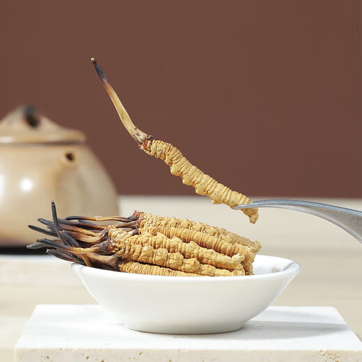 Yuanjiang Grass Cordyceps sinensis nueva caja de regalo Cordyceps seca para productos secos, entregados a líderes y ancianos 4 palos/g 10 gramos [caja de regalo ajustada]