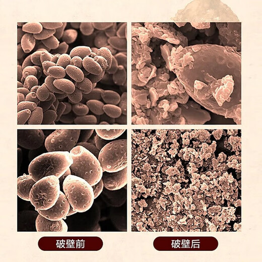 Don Xiaoteng [empresa conjunta chino-japón] Don Xiaoteng/Jing Xiaoteng Breaking Wall Ganoderma Lucidum Spore Powder mejora la inmunidad y los productos de salud tónica [Stocking todos los años] Polvo de esporas de pared de pared rompiendo [10 cajas]