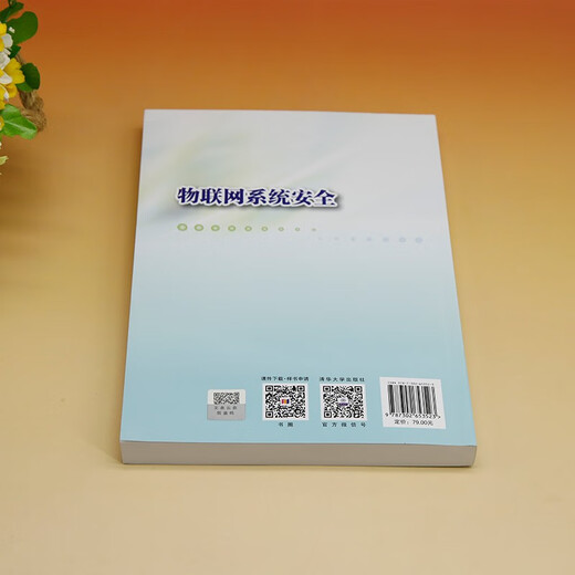 物联网系统安全9787302653523
