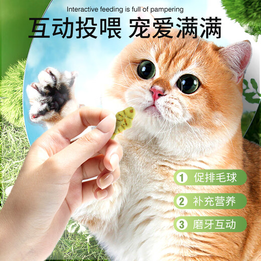 HELLOJOY Cat Snacks Mint Cat Grass Biscuits 1000g Cat Molar Sticks for Adults and Kittens to Gain Weight, Clean Teeth, Kitten Nutritional Hair