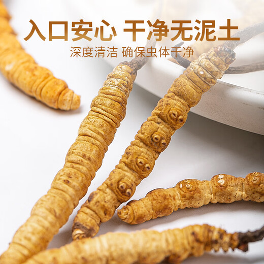 聚和泰 头茬冬虫夏草礼盒60管20g国庆中秋节日送父母长辈健康滋补营养品