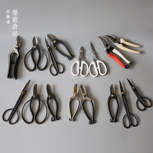 Chifang cisailles ciseaux à fleurs chinois de style japonais fleuriste ciseaux à arrangement floral en acier composite outils ciseaux de jardinage domestique sécateur lettrage Kaneda cisailles à cuir originales 200mm nouveau style