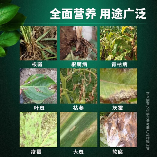 Microbial agent Junliqing new fungicide root rot yellow gray mold purple spot leaf spot agricultural fungicide 500g