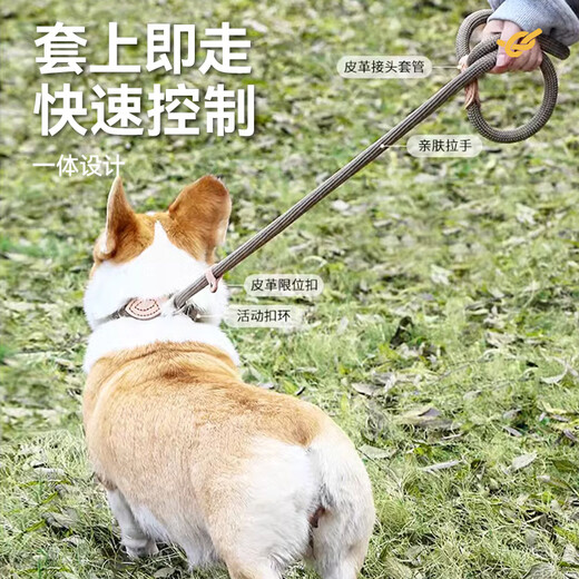 Huayuan pet equipment (hoopet) dog rope explosion-proof Okinawa P rope P chain traction rope collar large and medium-sized dog leash to prevent break-away dog walking