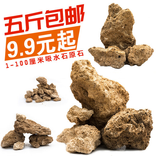 SHXI natural water-absorbing stone raw stone water stone wool crushed stone rockery bonsai micro landscape landscaping small ornaments with stones absorbent stone raw stone 10-20cm5Jin Jin is equal to 0.5kg