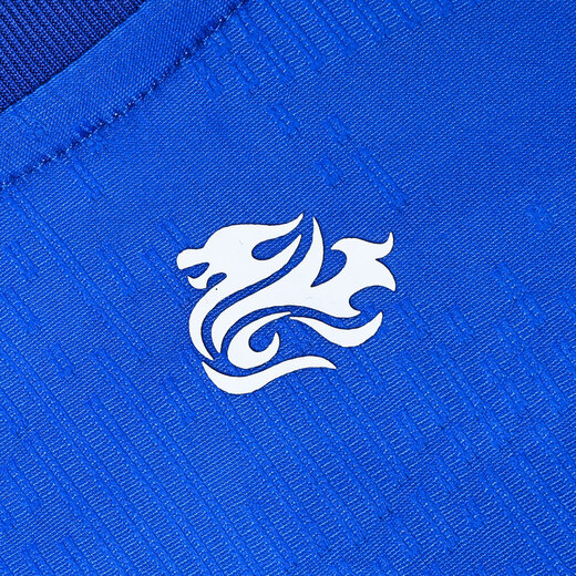 卡尔美（KELME）【新品】足球服 24年中甲俱乐部云南玉昆比赛服球员版球衣 彩蓝-球员版 S
