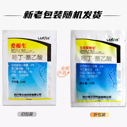 Lanyue Aigensheng 2% indolebutyric acid naphthalene acetic acid rice growth regulator to improve transplantation and root growth regulator 200g