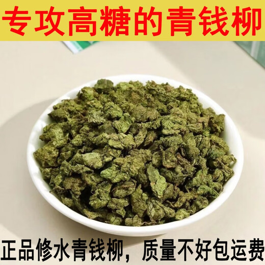 Grünes Geld Willow Tee Blätter goldenes Geld Willow Tender Blätter alter Baum zarte Blätter Jiangxi Xiushui Grün Geld Willow Tee Gold 500 Jahre alte alte Baumpellets 250 Gramm