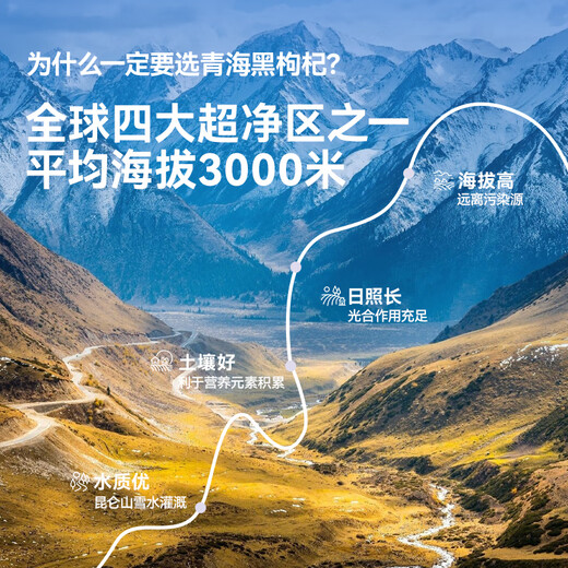 呀啦嗦青海黑枸杞原浆30g