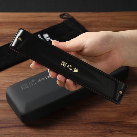Guoguang Germany imported gong harmonica accent polyphonic C tune professional harmonica can be used for gifts [high-end performance] 28-hole matte black polyphonic C tune